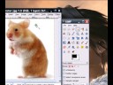 GIMP: Convert Images Into Icons (with transparent background)