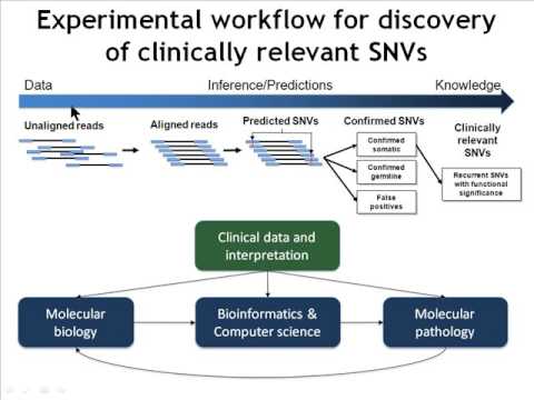 Multi-gene test found effective in predicting Alzheimer's disease