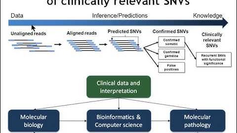 Dr. Sohrab Shah "Mutation discovery in cancer using next generation sequencing" Nov. 26, 2009