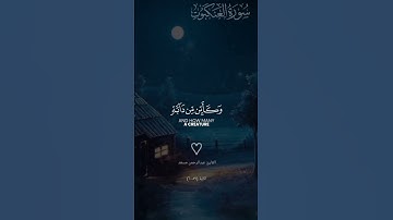 اجمل تلاوه #خاشعه هادئة #صوت جميل أرح قلبك #اكتب شي تؤجر عليه #قران كريم