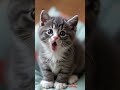 🐮Yukaina-makiba Singing kitten🫏 #cat #cutekitten #cute #tiere #sweetcat #lipsync