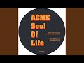 Soul of life i original mix