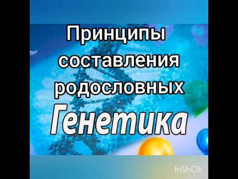 Принципы составления родословных. Как сделать анализ родословной.