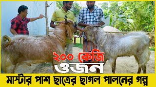 এবার ২০২৩ ঈদে মাস্টার পাশ ছাত্রের ২০০ কেজি ওজনের বিশাল দেহী ২টি  ছাগল। ছাগল পালনের গল্প