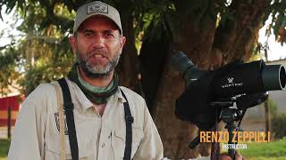 Madre de Dios - Birds of Peru (Peru Birders)