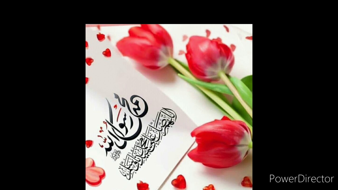 نعت ترکمنی دین اسلام حقنده   عنوان نعت   سَچار دنیا فضل شرافت اسلام  مسلمانه برن شهامت اسلام  اوقی