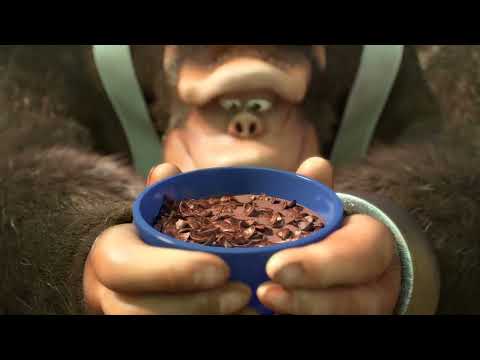 Coco Pops Chocos De Kellogg S Ad FR2015 