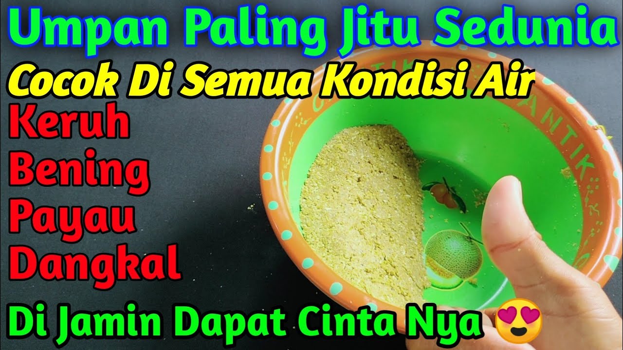 Racikan Umpan Jitu Ikan Nila Babon Cocok Di Segala Kondisi Air & Spot