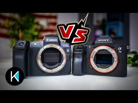 Canon EOS R vs. Sony a7III FOR VIDEO!