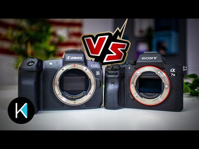 Canon EOS R vs. Sony a7III FOR VIDEO! class=