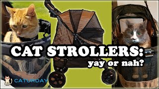 CAT STROLLER REVIEW: unboxing, assembly, + cats riding in the stroller! (Pet Gear NoZip Stroller)