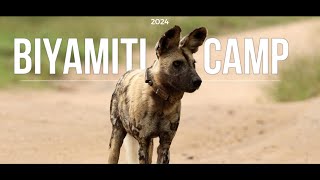 Biyamiti Bushveld Camp  Off the Beaten Path | Kruger National Park