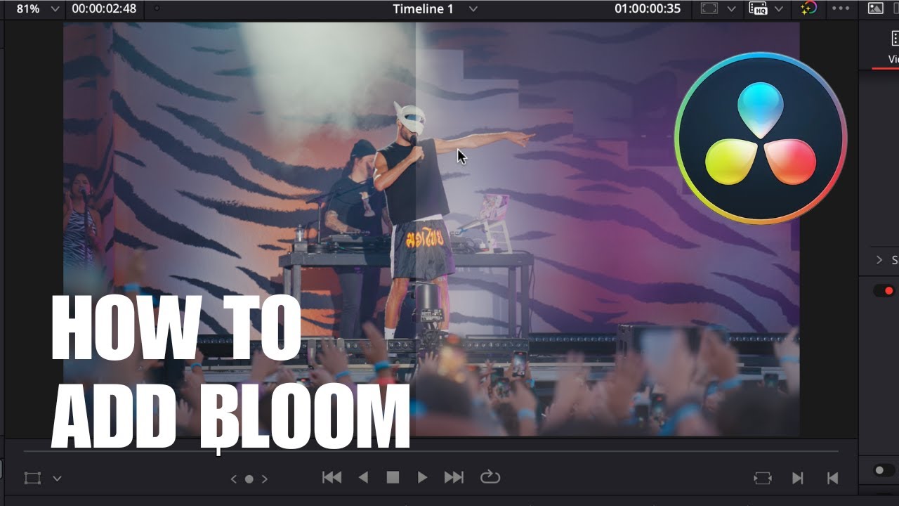 Davinci『into the Bloom』 How to add the BLOOM effect in DaVinci Resolve - YouTube