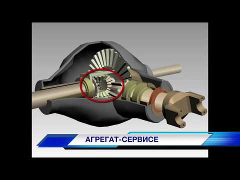 Видео: Что такое задний дифференциал?