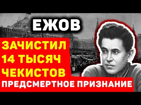НИКОЛАЙ ЕЖОВ: В СКОЛЬКИХ УБИЙСТВАХ ПРИЗНАЛСЯ НА ПОСЛЕДНЕМ СЛОВЕ ЖЕЛЕЗНЫЙ НАРКОМ