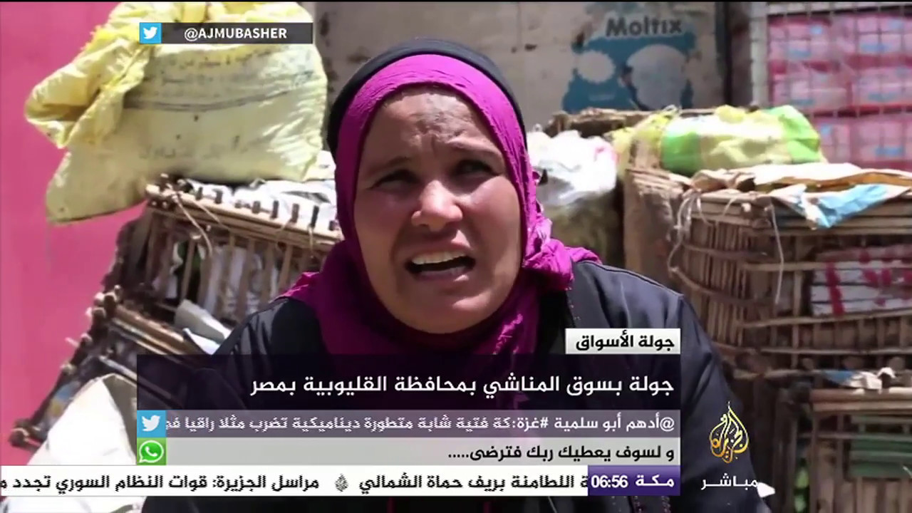 جولة الأسواق في سوق المناشي بمحافظة القليوبية بمصر