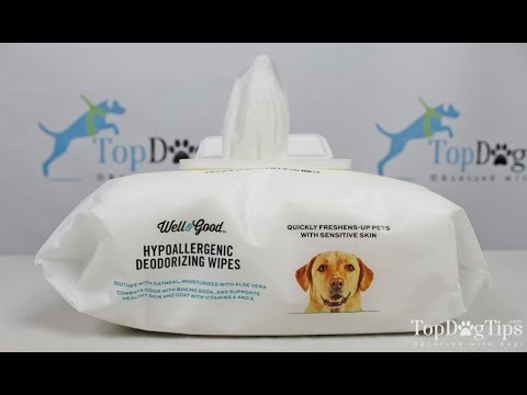 Video: Hypoallergen hundservietter til rynker