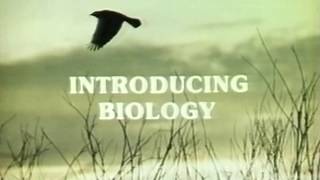 WYCC Channel 20 - Introducing Biology - 