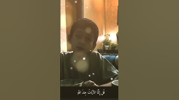 وقالوا لولا أنزل عليه آيات من ربه 🌿 سورة العنكبوت  #القرآن_الكريم #اكسبلور #المصحف #لايك #ترند