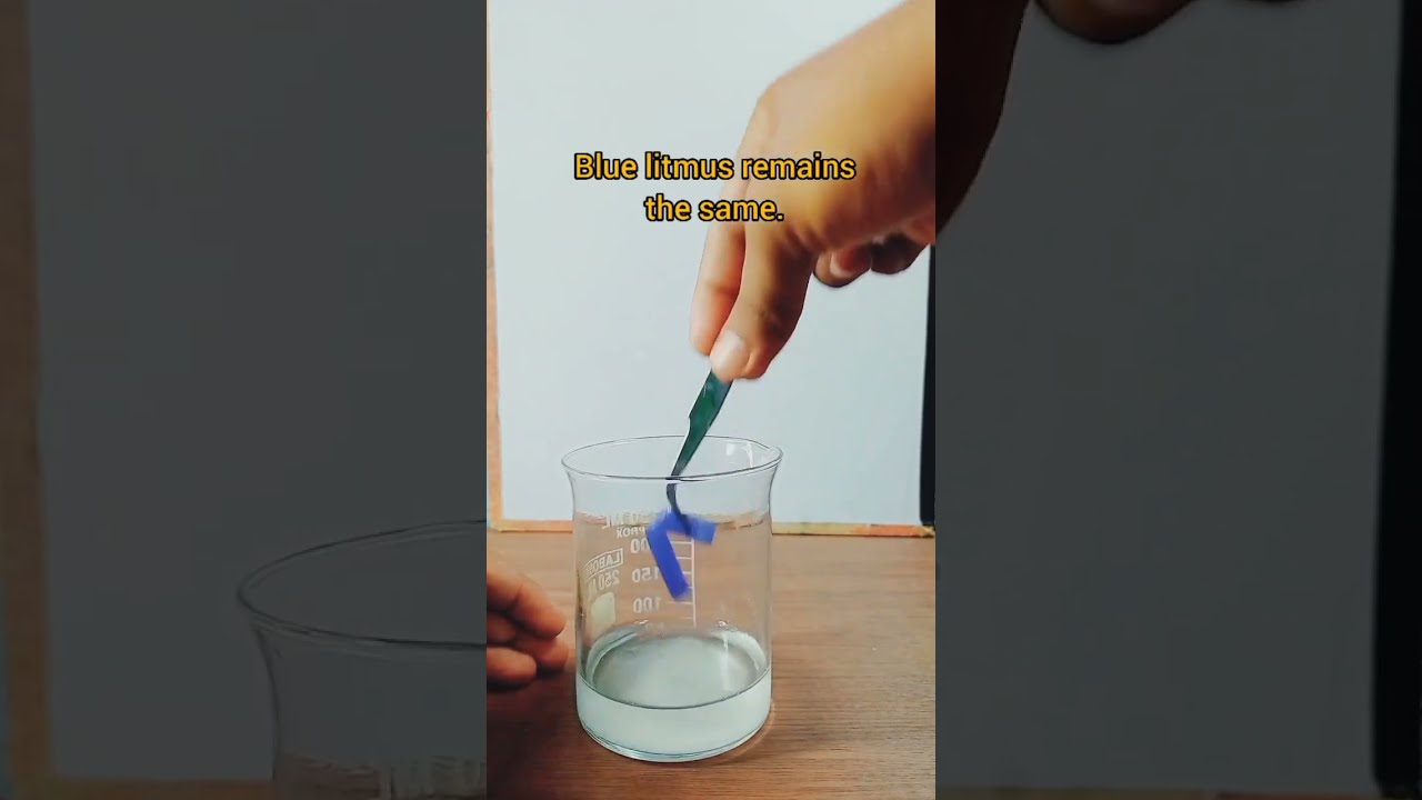 Litmus Test Chemistry