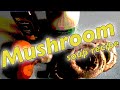 My Mushroom Soup Recipe