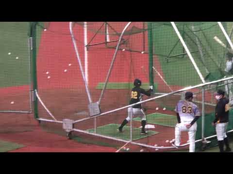 新井コーチ見守りの中 バッティング練習する植田海選手 21.3.19 京セラドーム