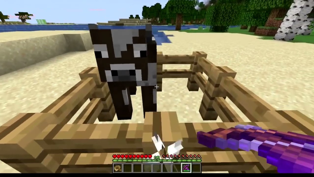 How Mojang fixed THIS                   Minecraft 1219 pre release 1 update_R