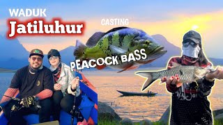 Fishing for Peacock Bass in Jatiluhur Reservoir, West Java 2025