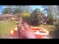 Bird 🐦 Video afternoon today 