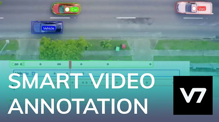 Video Annotation - V7 Darwin