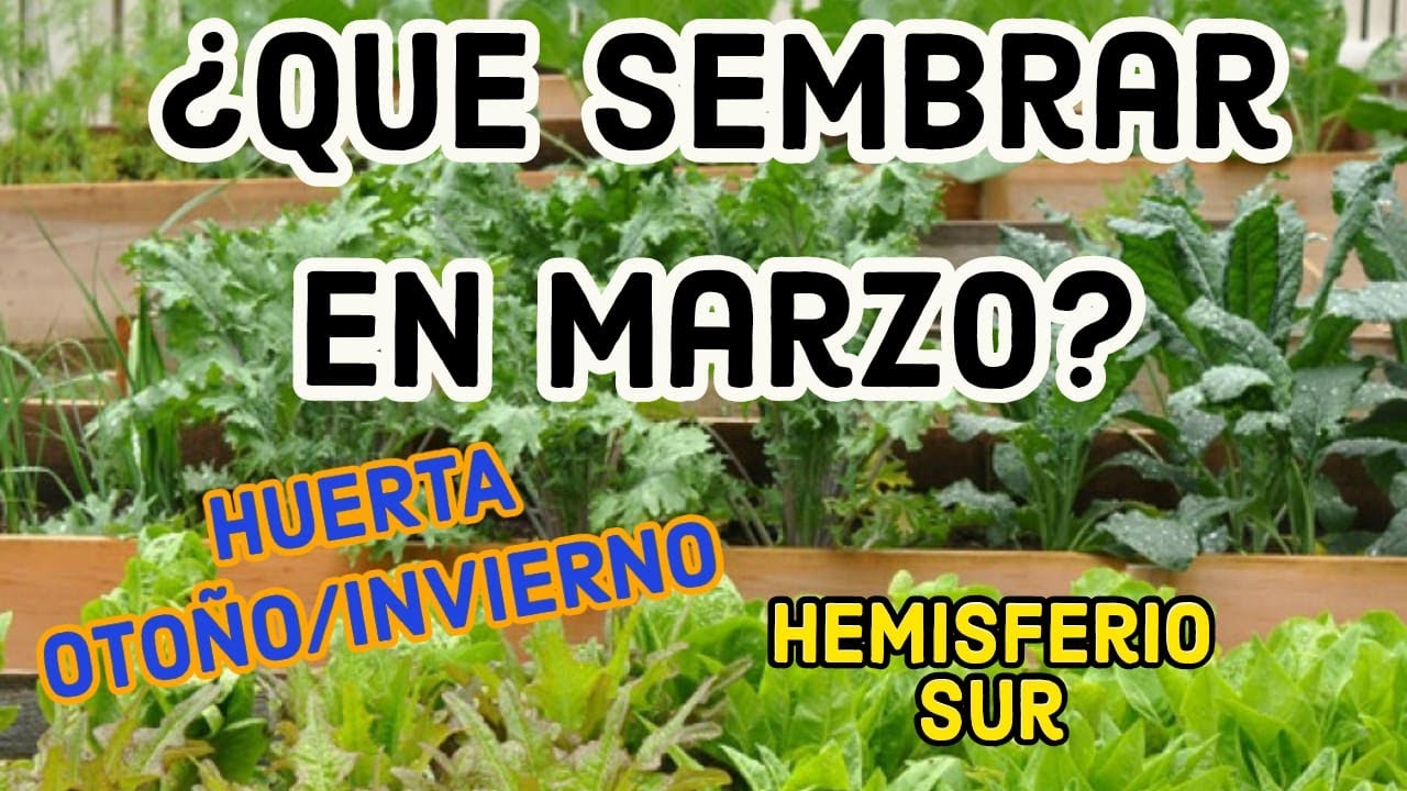 SEMBRAR EN MARZO (Hemisferio Sur)
