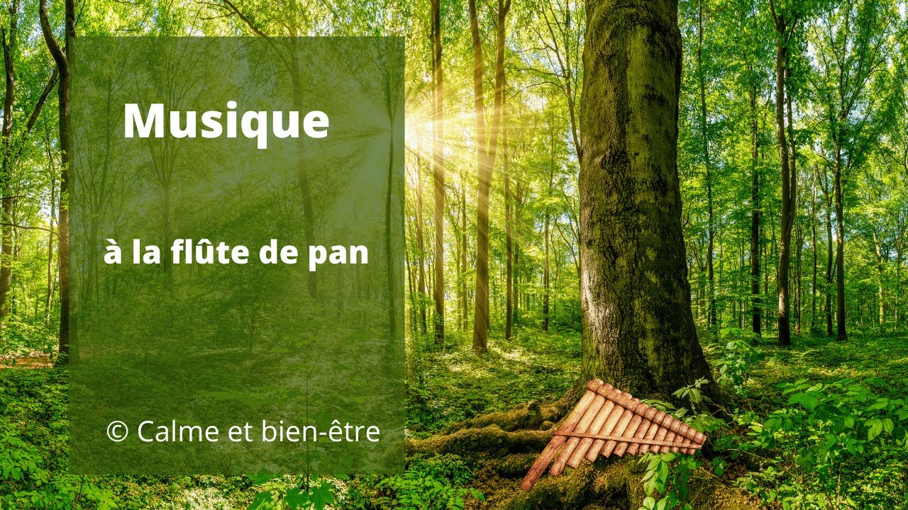 Musique Zen - Song Download from Flûte de pan – Musique douce et relaxante  pour massage, spa, bien-être, yoga et méditation, pan flute pour sommeil  réparateur @ JioSaavn