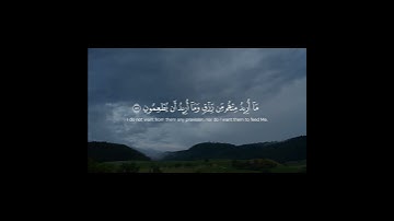 سورة الذاريات ( ٥٥ ـــ ٦٠ ) #قران_كريم #ماهرالمعيقلي