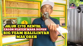 ❤️FUTURE PLAYER CANDIDATES FOR THE CITO PATH ARE THICK‼️BIG TEAM HALILINTAR MAS SOBEH