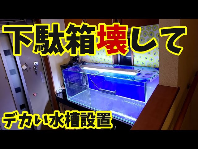 玄関の昭和レトロ水槽をちゃんとしたい - YouTube