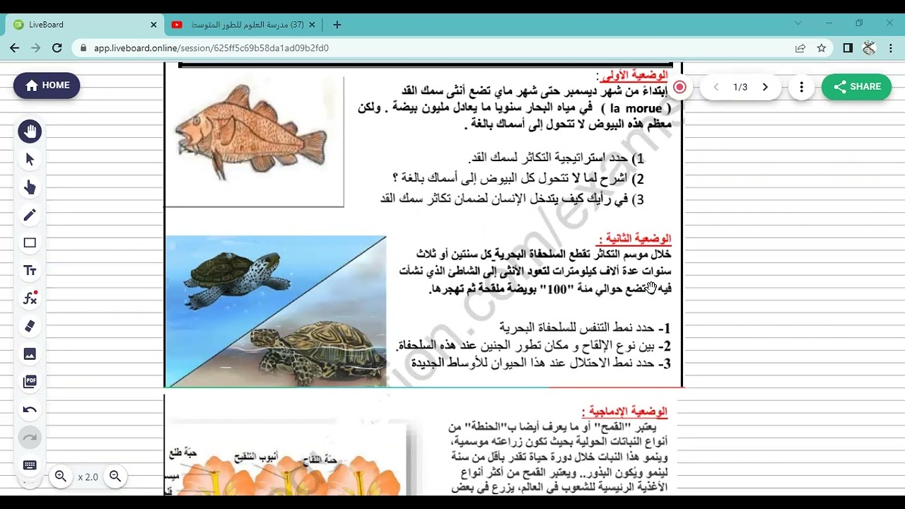 علوم 2 متوسط حل نموذجين فرض الفصل الثالث مع تلاميذي في زووم