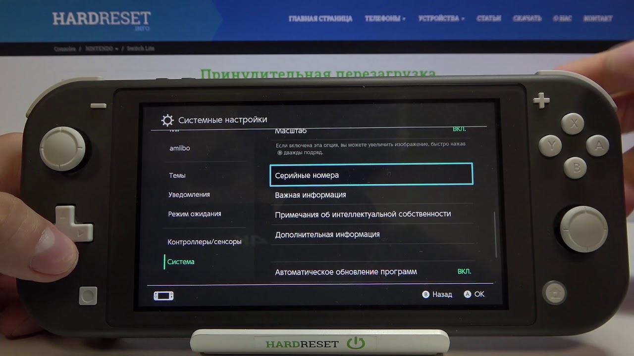 Скинул приставка. Настройка Нинтендо. Как проверить серийный номер Нинтендо свитч. Как определить ревизию Nintendo Switch по серийному номеру. Как поменять время на Нинтендо.