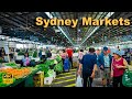 Sydney australia walking tour  biggest and oldest markets in australia  4kr