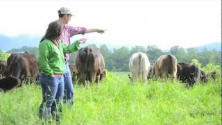 A Day In The Life On A Small Meat Farm M4v A Day In The Life On A Small Meat Farm M4v