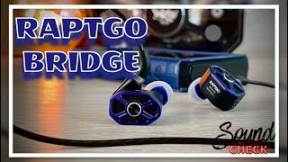 Обзор трибридных наушников Raptgo Bridge - Мост в будущее?