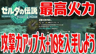 【ゼルダティアキン】最高火力大剣 近衛の両手剣攻撃力アップ大+10を入手しよう【ゼルダの伝説ティアーズオブザキングダム】The Legend of Zelda Tears of the Kingdom