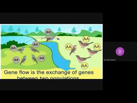 Evolutionary Mechanism (Gene Flow)