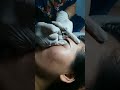 Phun mày shuphyia