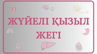 Жүйелі қызыл жегі(системная красная волчанка)-пайда болуы.Патогенез,симтомдары,диагностика,Емі.