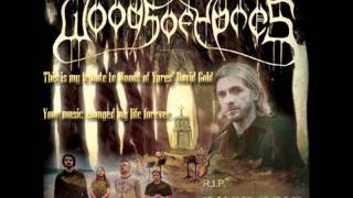 Video thumbnail of "Woods of Ypres - Travelling Alone"