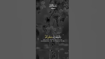 #اكسبلور #دويتو #duet #keşfet #لايك #راحة_نفسية #حالات_واتس #love #فولو #تيك_توك #قران_كريم #تلاوات