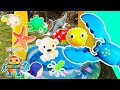 Sea Animal Names | Kids Learn at the Toadstool Pool: Pufferfish Manta Ray Polar Bear Lobster