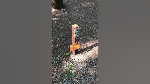 Video of Burlington - Humboldt Redwoods State Park, CA from Gustavo M.