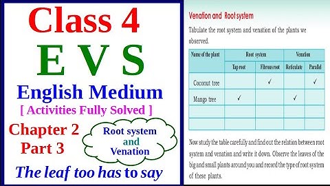 EVS Class 4 | English medium / Chapter 2 /Part 3/The Leaf too has to say/science world/scert Kerala