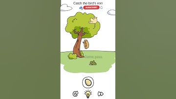 Catch The Birds Egg 🥚| level 60 |